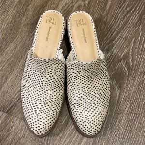 Dalmatian Print Shoes